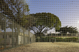 sesc campinas ícaro de castro mello